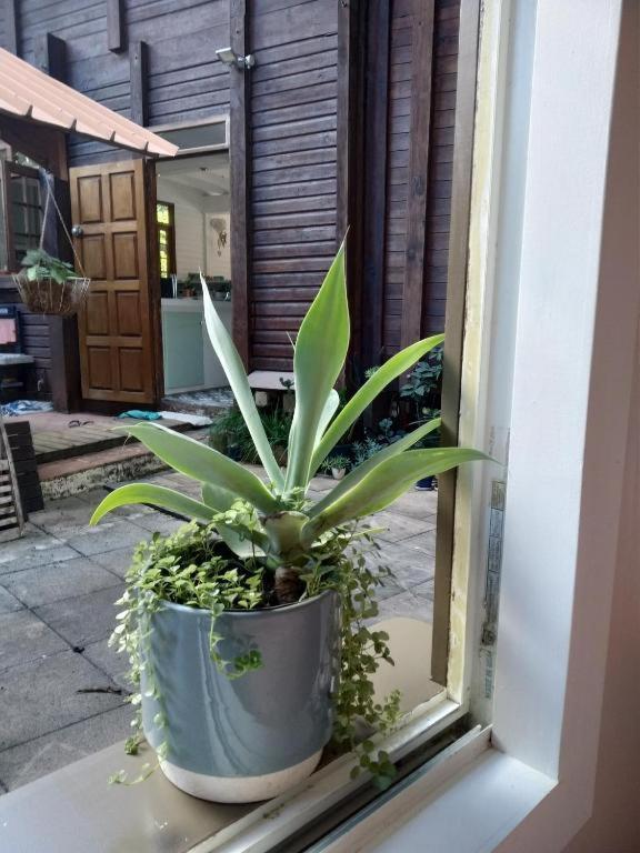 Chalet Ohana, Airport Family House Faaa Bagian luar foto
